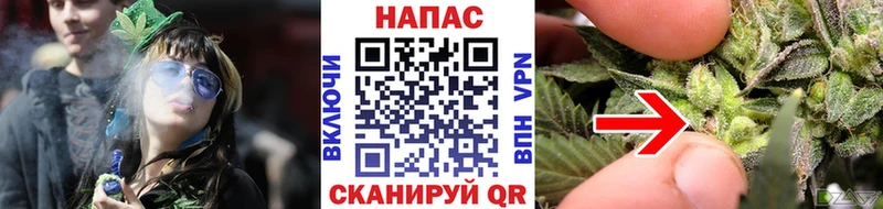 Где можно купить наркотики Великий Новгород Марихуана  Alpha PVP  Галлюциногенные грибы  Меф мяу мяу  ГАШ 