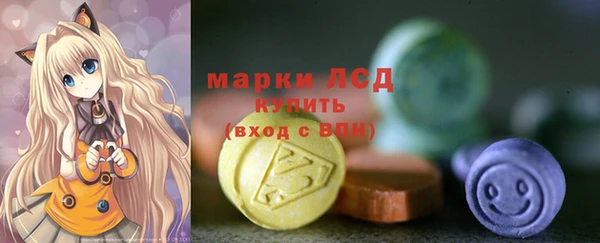 ГАЛЛЮЦИНОГЕННЫЕ ГРИБЫ Медвежьегорск