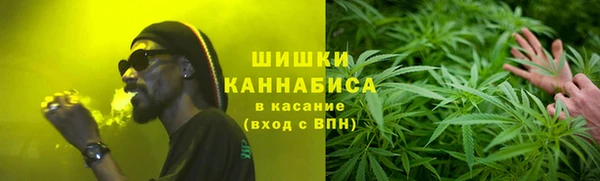 амф Абинск