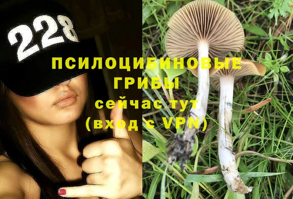 амф Абинск