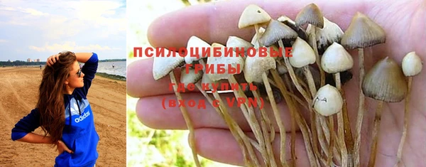 амф Абинск