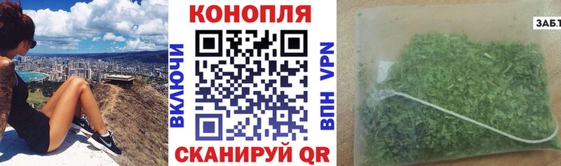 shop как зайти  Великий Новгород  Каннабис семена 